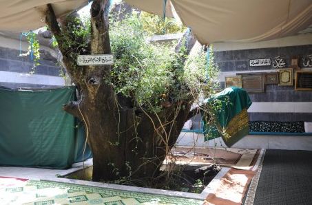 Imam al-Nawawi’s Maqam Destroyed in Nawa